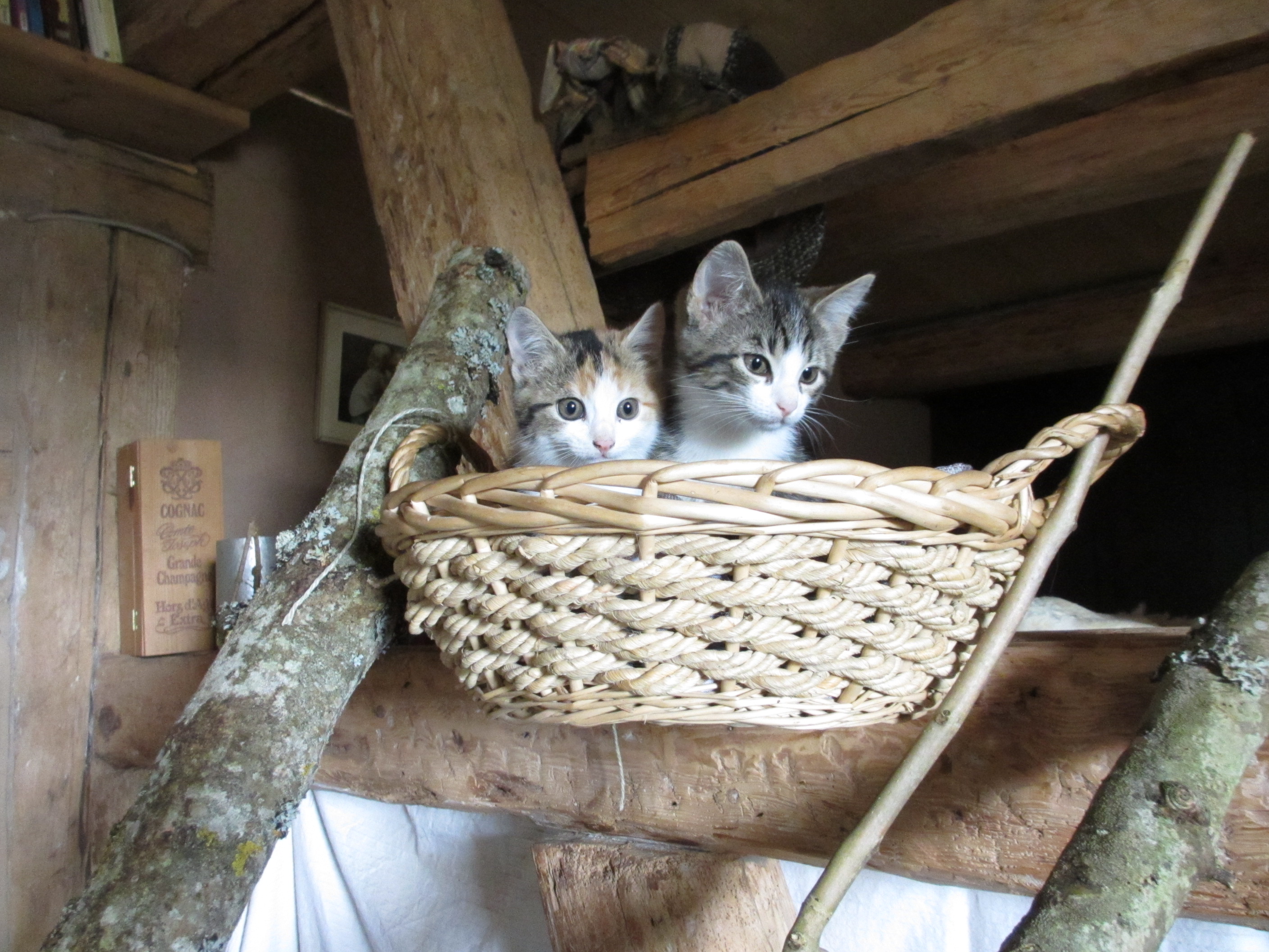 Paula und Emilie